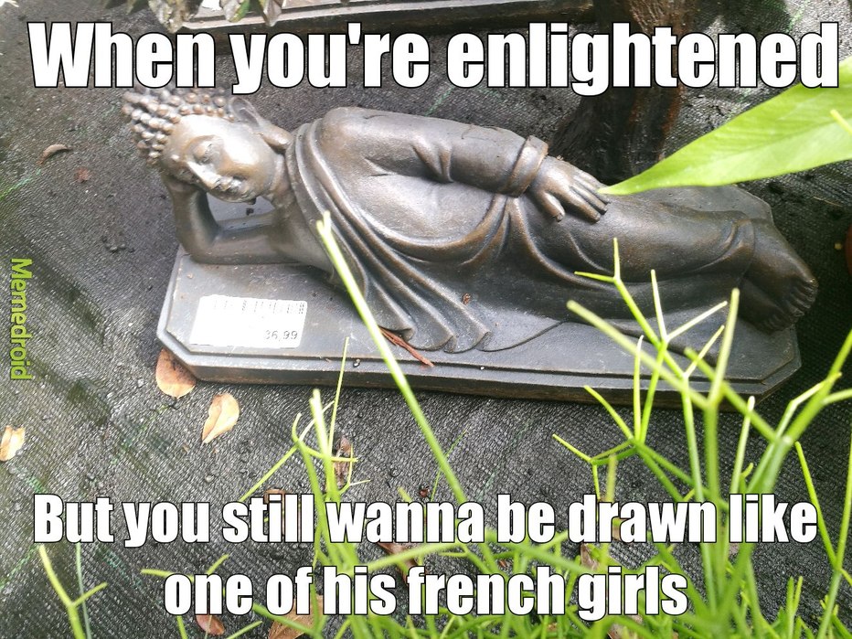 Damn these french girl Buddha's - meme