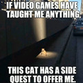 I’m betting the side quest is to feed it