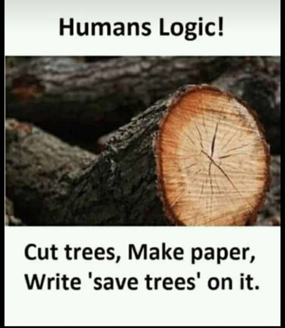 Trees - meme