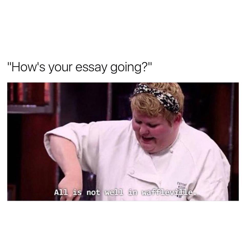 pay someone to write my essay meme