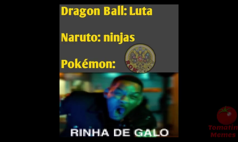 RINHA DE GALO!!! - meme