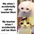 when i call my teacher Mum
