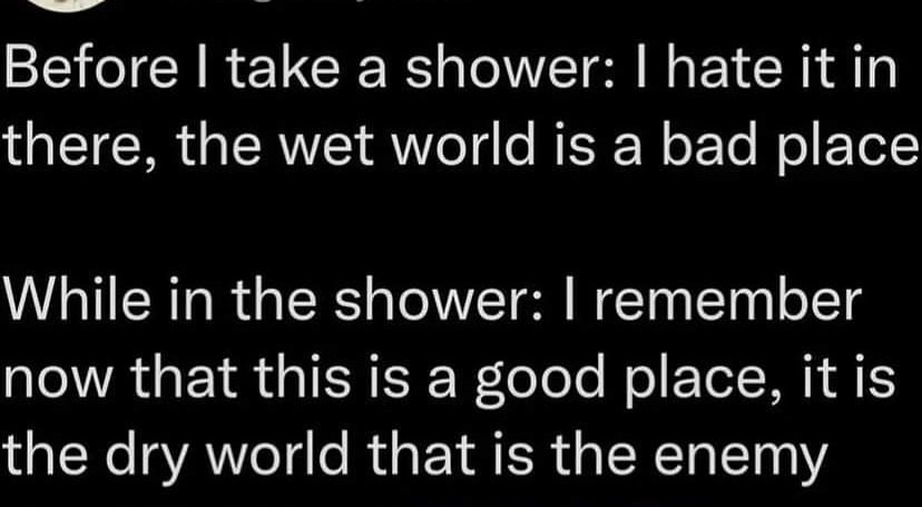 Shower vs Bath: fight in comments - meme