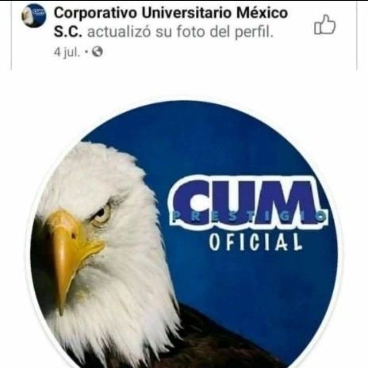 Xdd - meme
