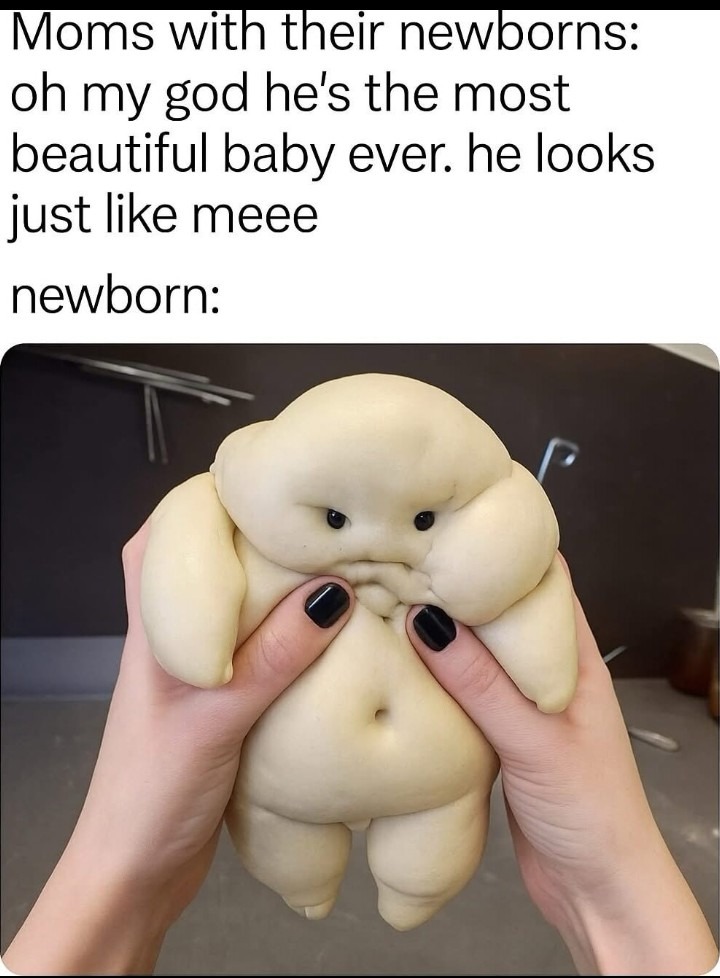 I love newborns but they're all ugly - meme