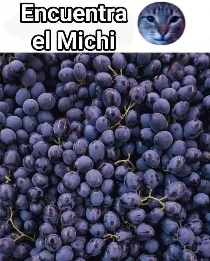 Encuentrenme esta - meme