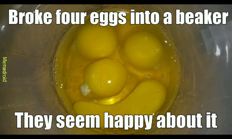 Eggs - meme