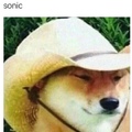 what in tarnation