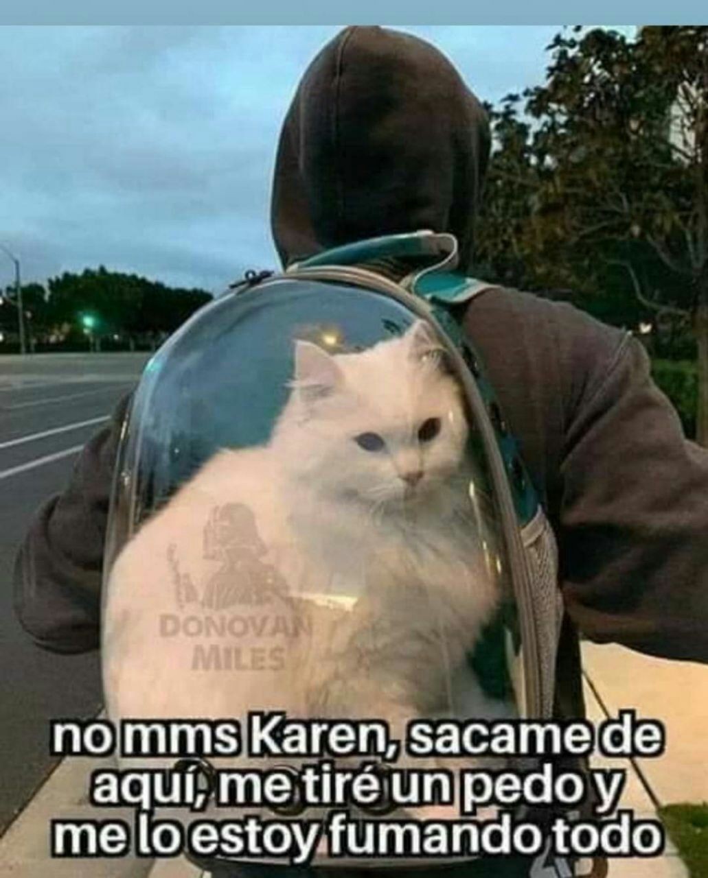 La Karen es mala - meme