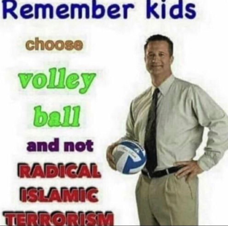 Volleyball Pog - meme