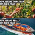 vegans