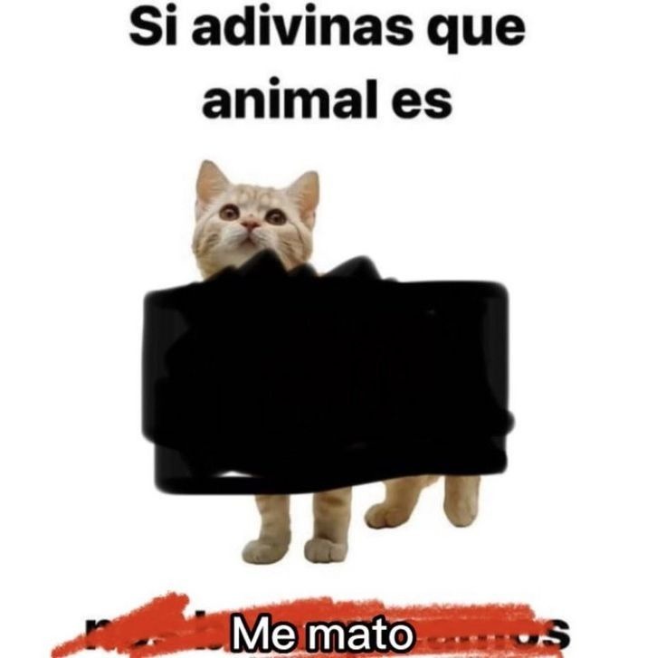 Ban porfavor - meme