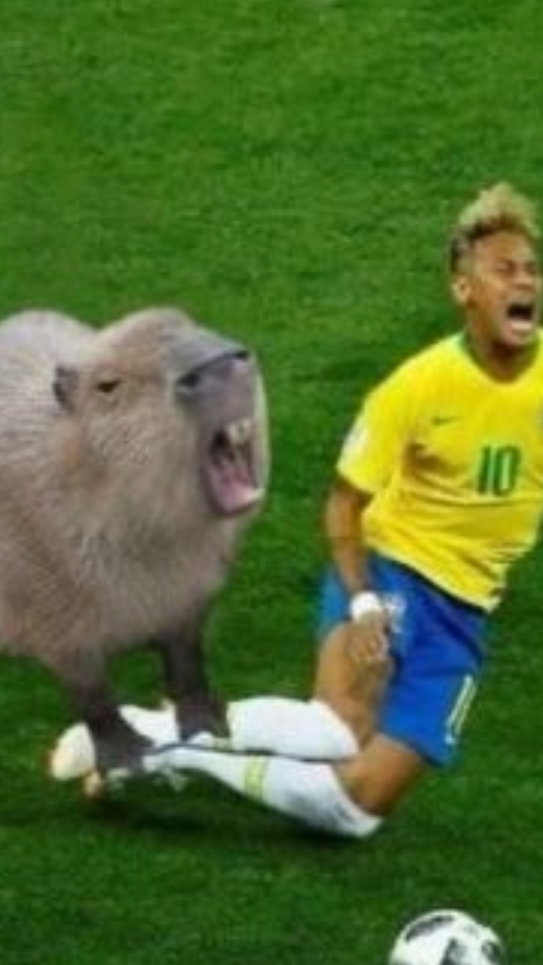 f por ronaldinho - meme