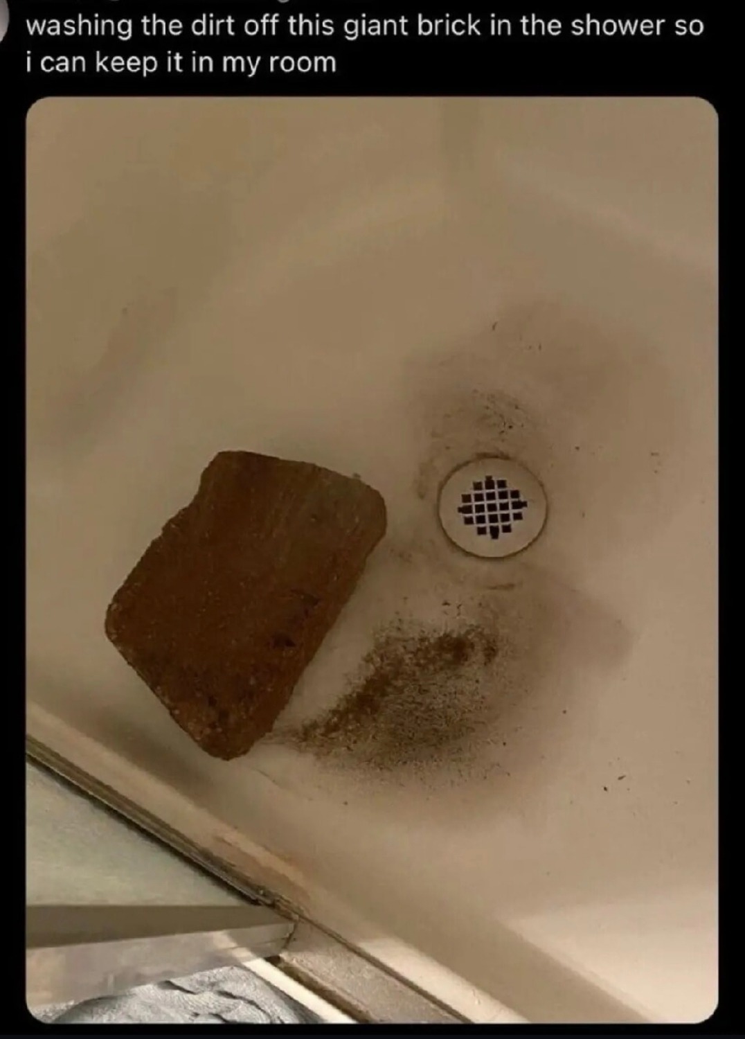 cleaned my emotional support brick, he's shiny now - meme