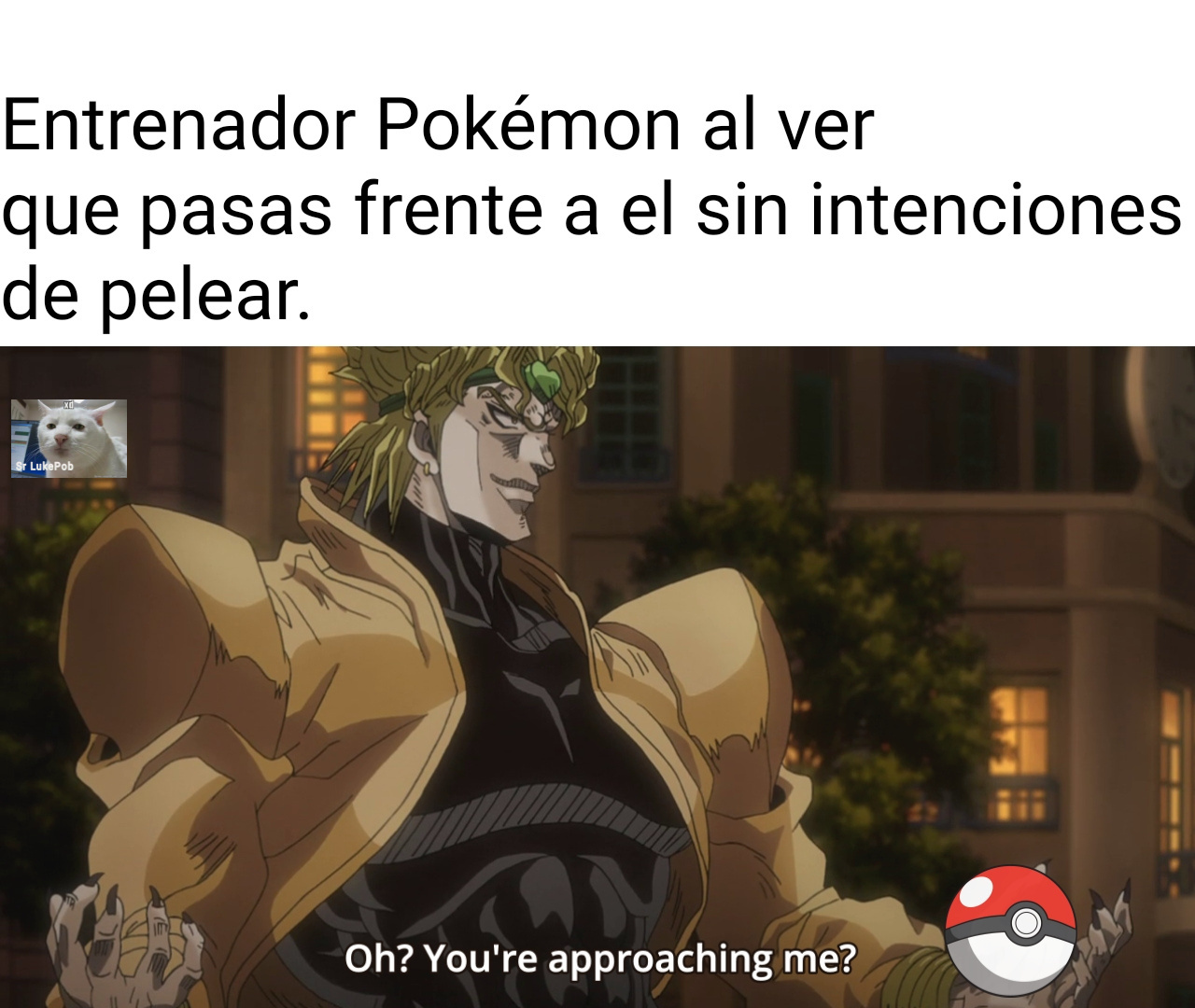El con un Pokémon inicial y tu con tu lucario - meme