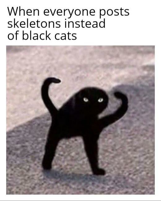 Black cats - meme