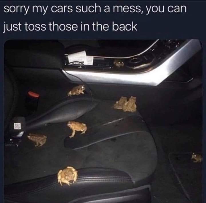 Dirty car - meme