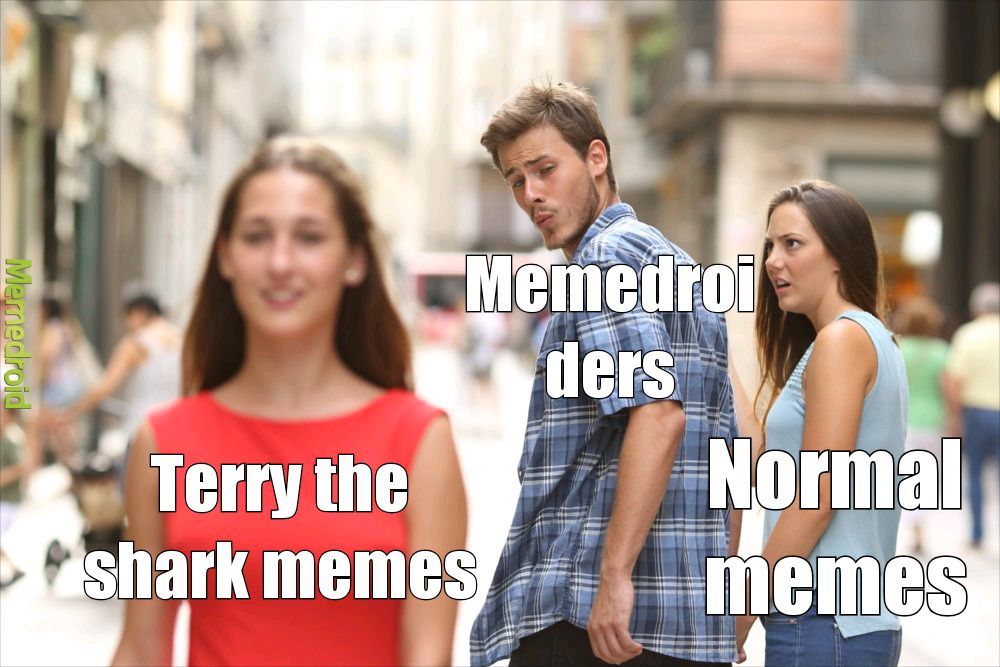This is a terry the shark meme