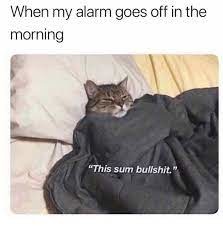 Waking up is som bullshit - meme