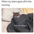 Waking up is som bullshit