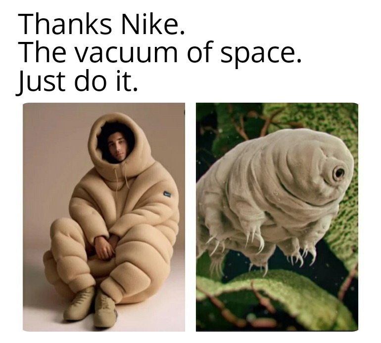 Its tardigrade weather - meme