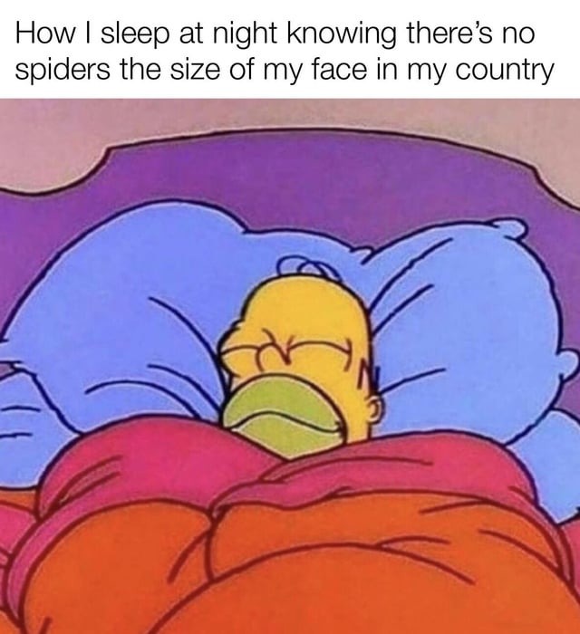 Spider free - meme
