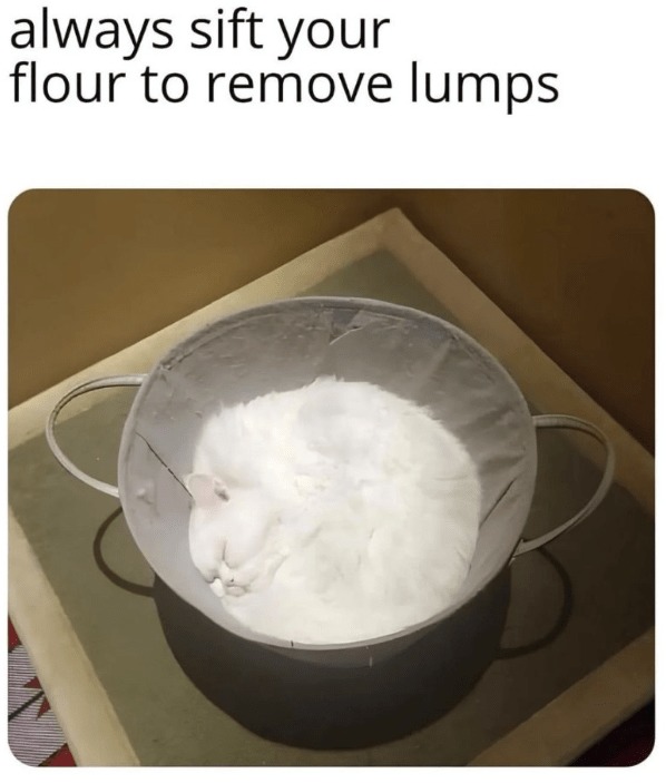 Why is my flour meowing? - meme
