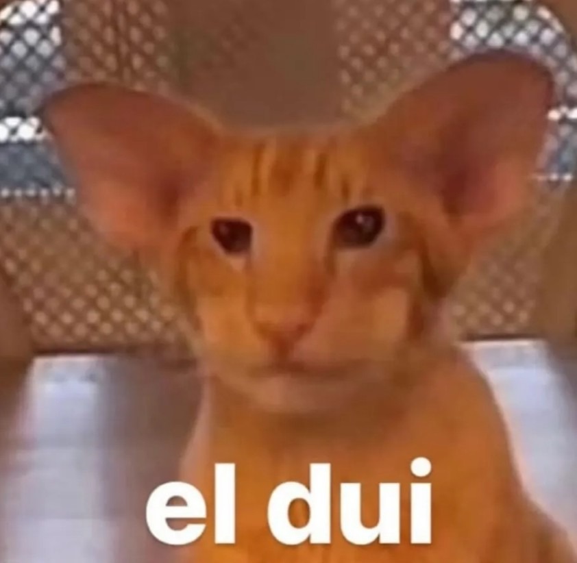 El Dui - meme