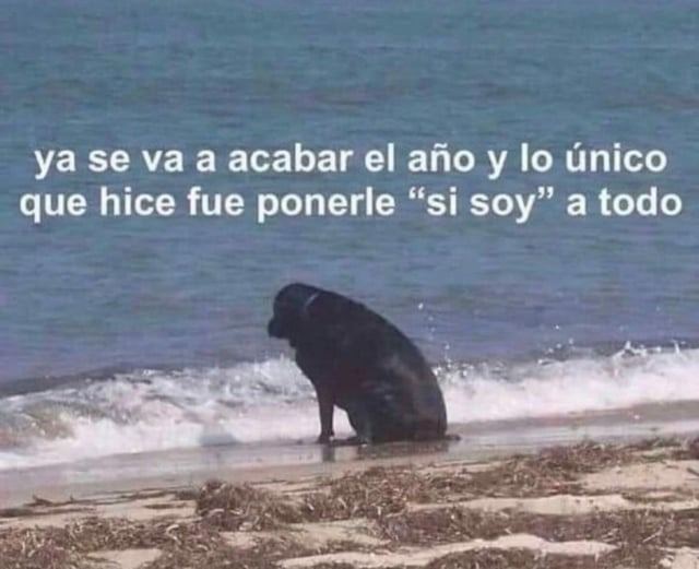 feliz final de año gente - meme