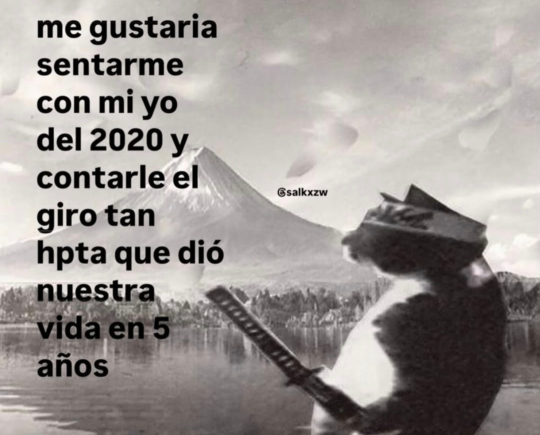 me sentaría con mi yo de 2020 a contarle el giro de 5 años - meme