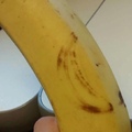 Banana on a Banana