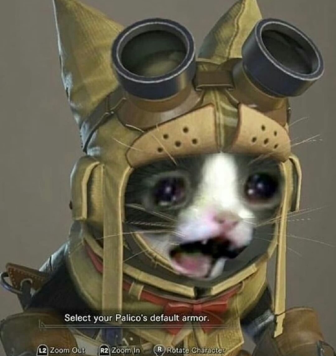 This is the look the most useless palico makes - meme