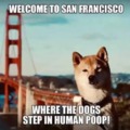 Welcome to San Francisco
