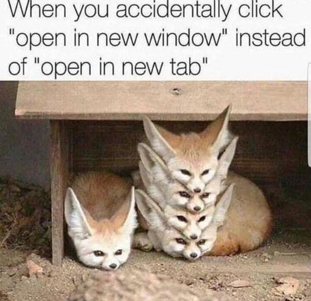 When you click open new window instead of open new tab - meme