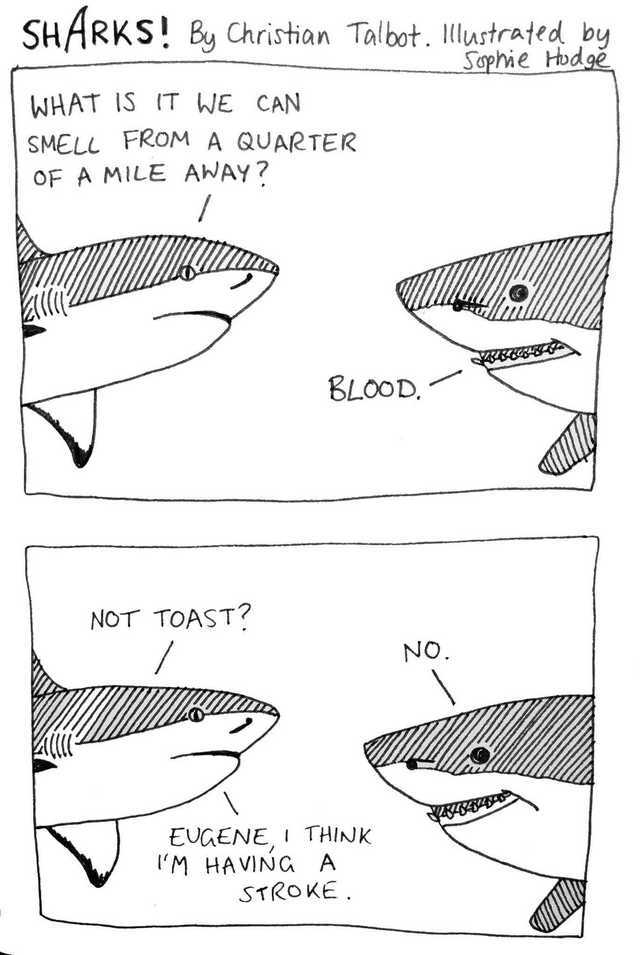 Sharks are awesome - meme