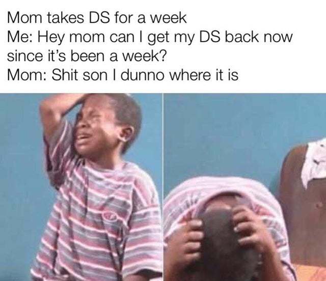 Mom takes DS for a week - meme