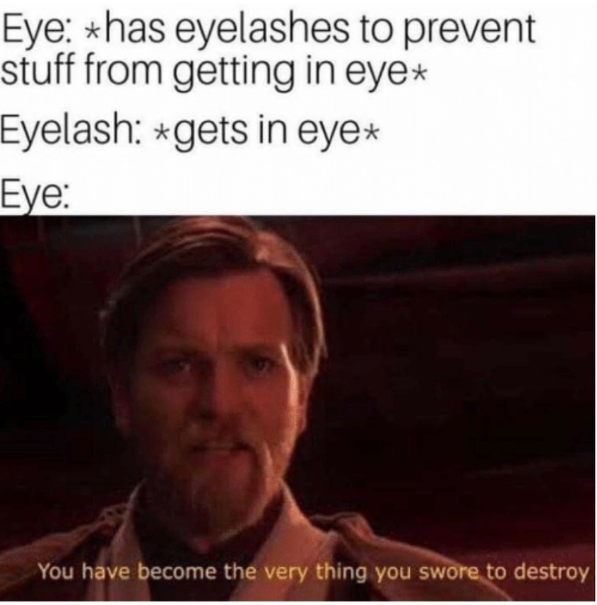 From my point of view, the eyelashes are evil - meme