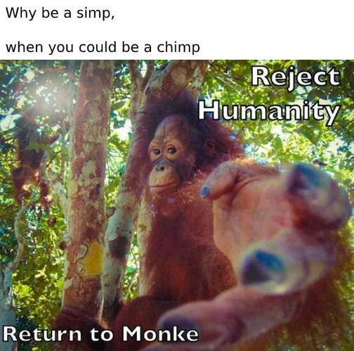 I thought the random chimp event was this year... - meme