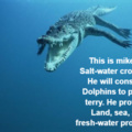 Mike The salt-water Crocodile