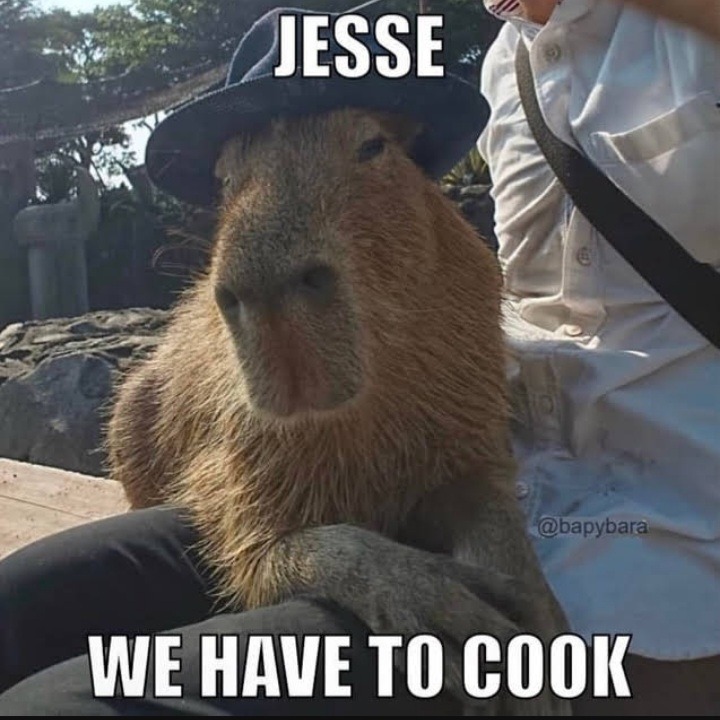 Capybara bad - meme