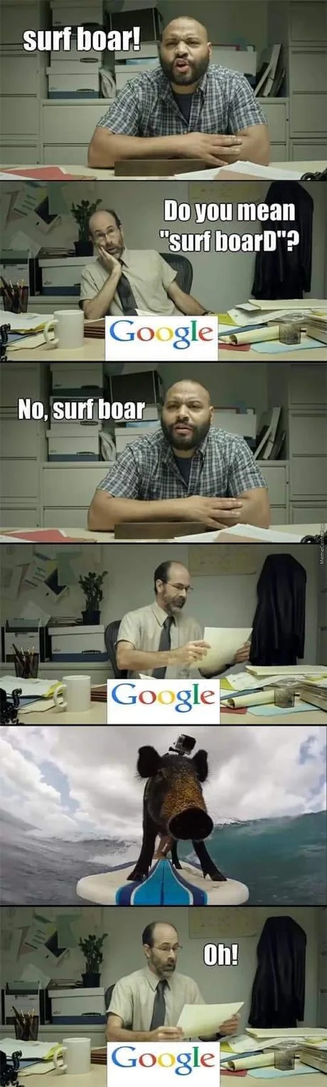 Surf boar - meme