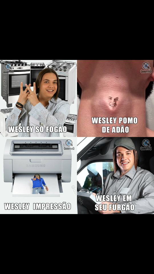 WESLEY - meme