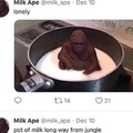 milk Ape