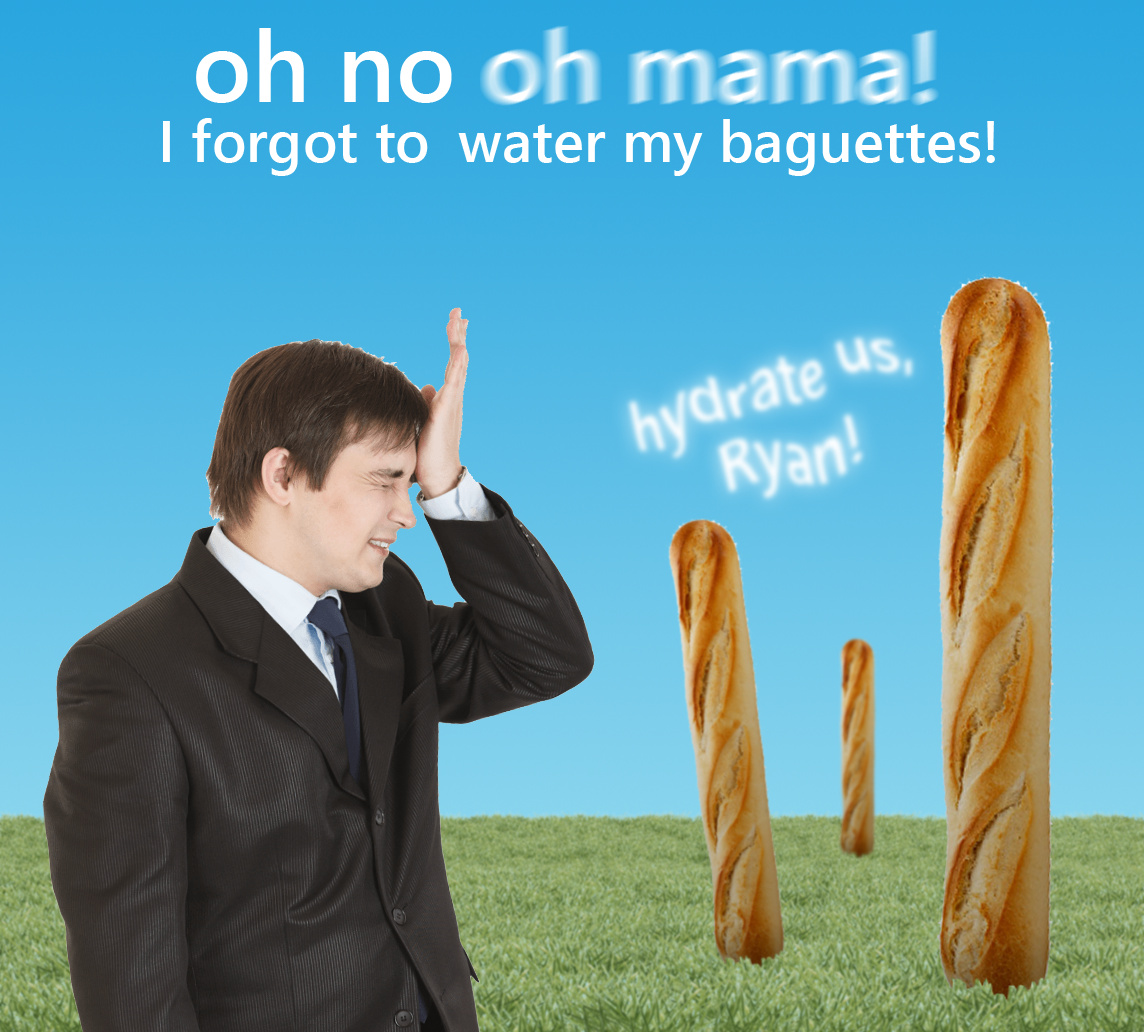 Baguette - meme