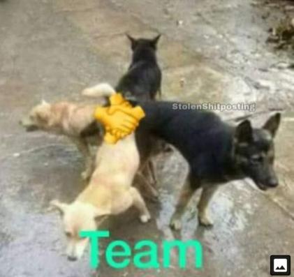 team - meme