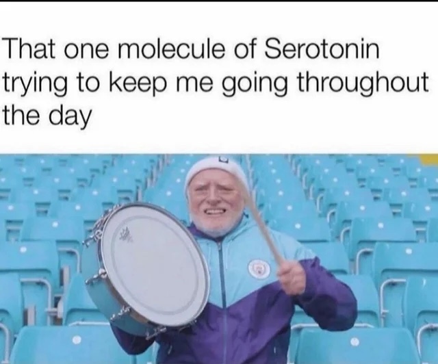 I need some more serotonin - meme