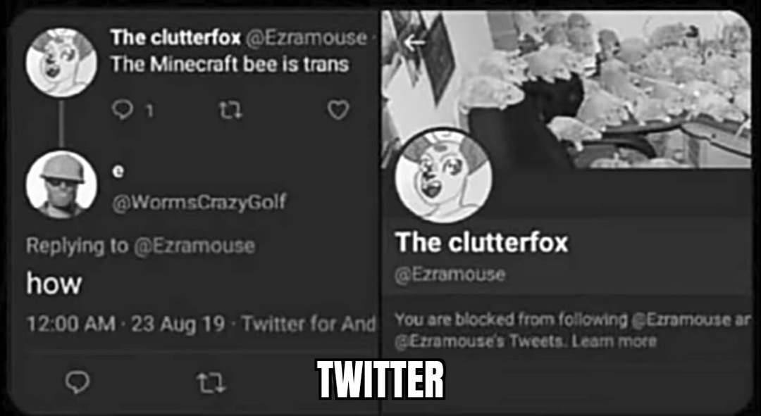 Traducción: "la abeja de Minecraft es trans" "porque" *blockeado* - meme