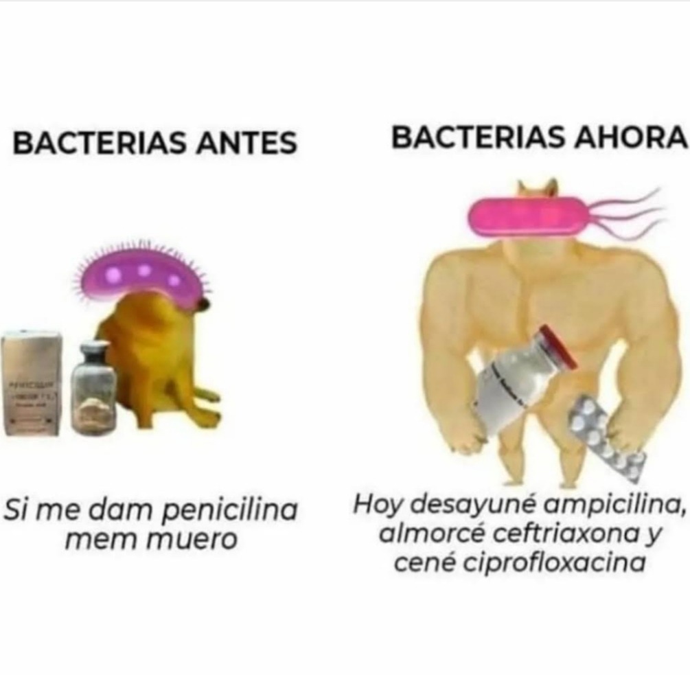 Contexto, los antibióticos le dan más poder a las bacterias - meme