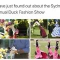 Finally a good fashion show