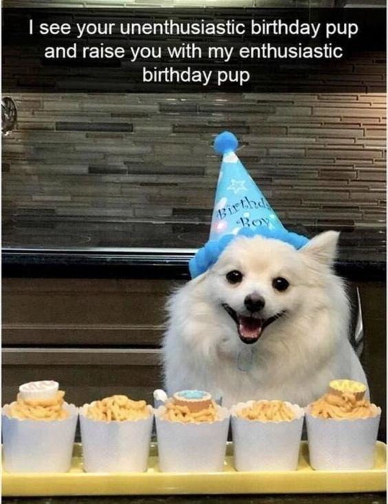birthday pup meme